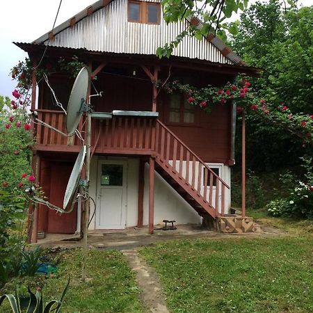 Villa Tengiz Chakvistavi Extérieur photo